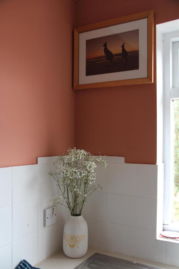 Send Beautiful Apartment In Guildford With Parking מראה חיצוני תמונה