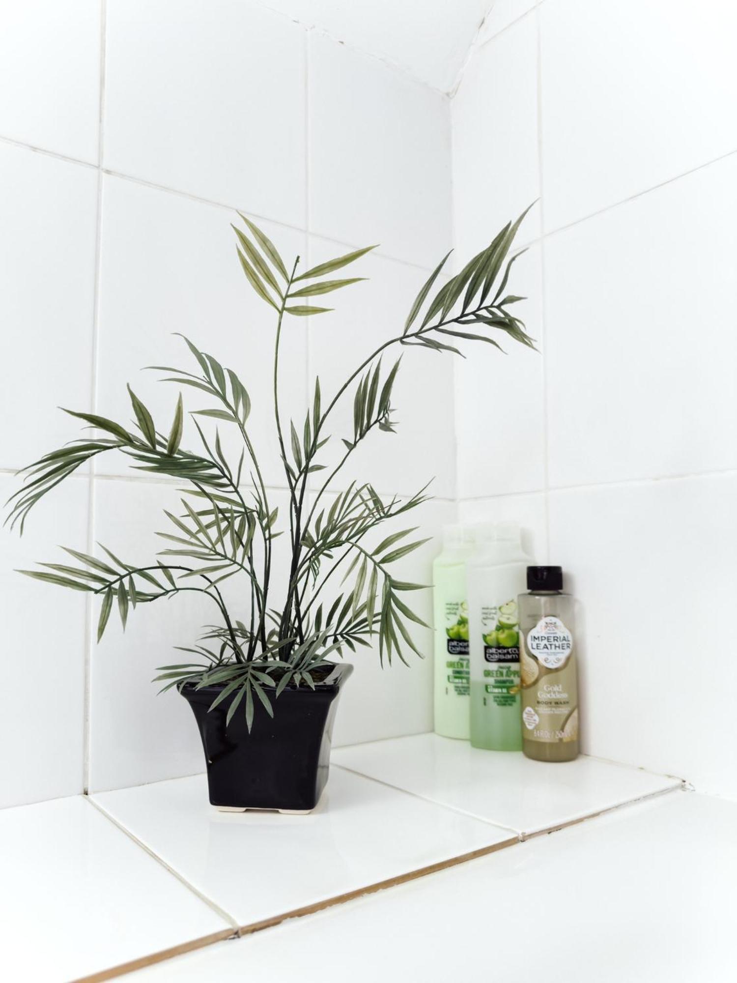 Send Beautiful Apartment In Guildford With Parking מראה חיצוני תמונה