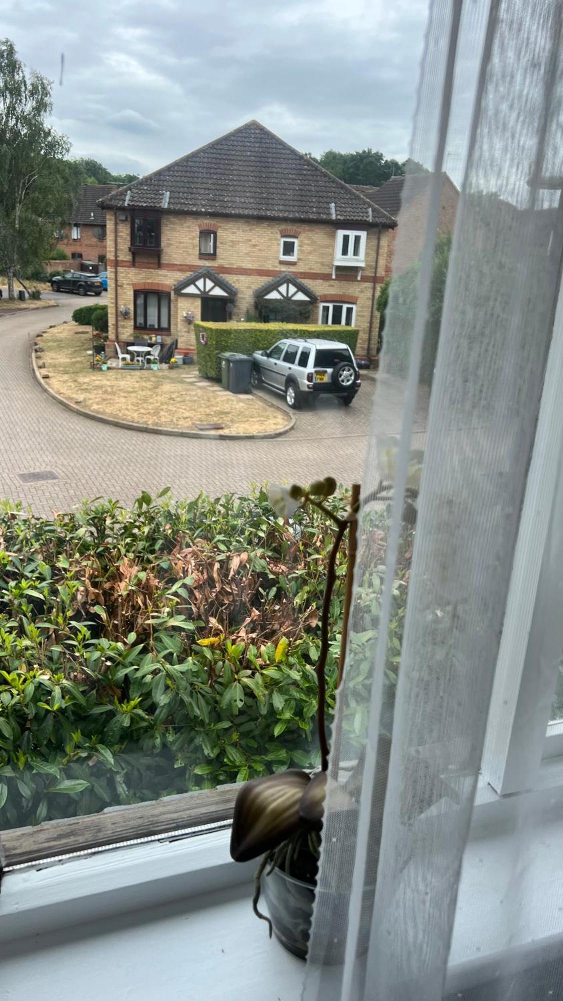 Send Beautiful Apartment In Guildford With Parking מראה חיצוני תמונה